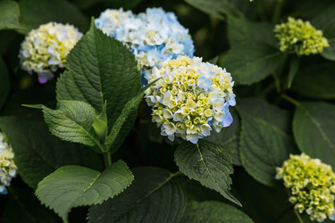 Similar image 22205417