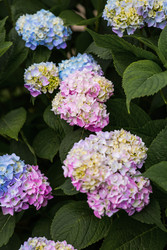 Similar image 22205418