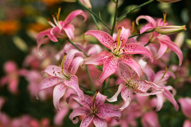 Similar image 22205667