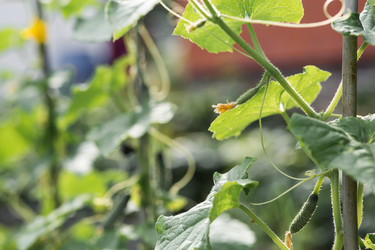 Similar image 22205673