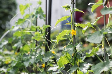 Similar image 22205675