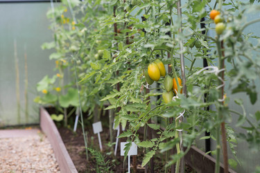 Similar image 22205676