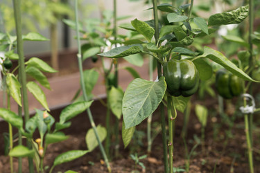 Similar image 22205678