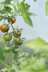 Similar image 22205685