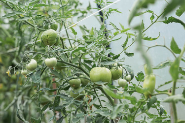 Similar image 22205686