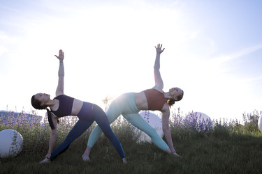 Similar image 22203483