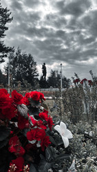 Similar image 22203195