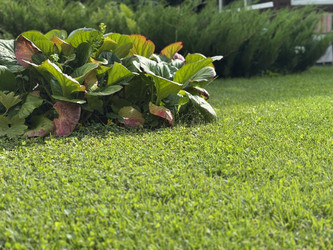 Similar image 22203198