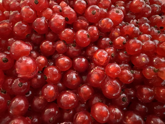 Similar image 22203199