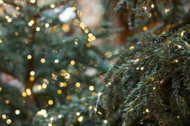 Similar image 22205277