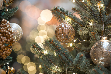 Similar image 22205281