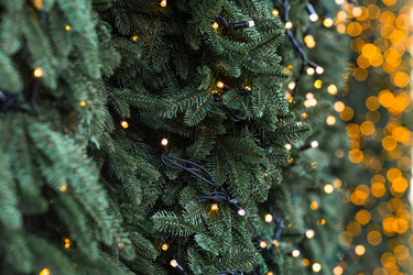 Similar image 22205288