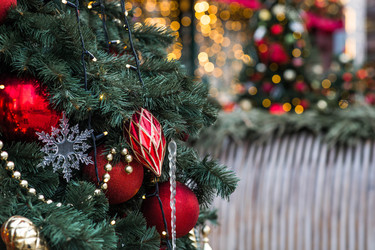 Similar image 22205290