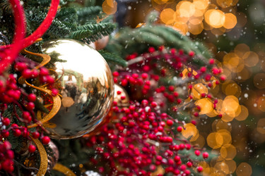 Similar image 22205293