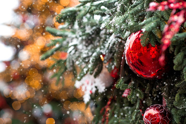 Similar image 22205335