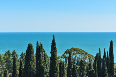 Similar image 22203227