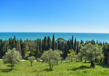 Similar image 22203228