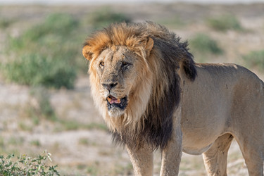 Similar image 22206297