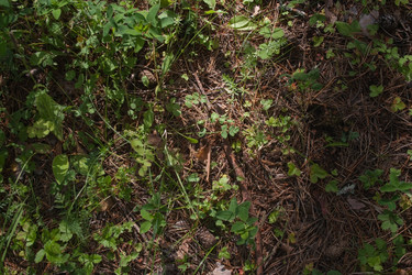 Similar image 22204251