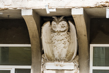 Similar image 22205031