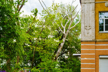 Similar image 22205035