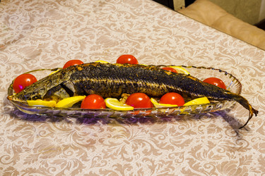 Similar image 22205038