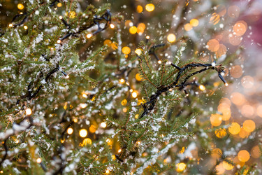 Similar image 22205343