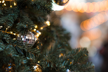 Similar image 22205359