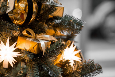 Similar image 22205361