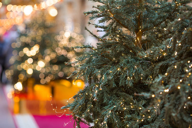 Similar image 22205362