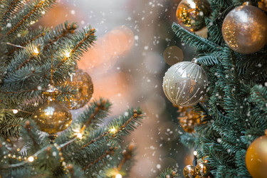 Similar image 22205363