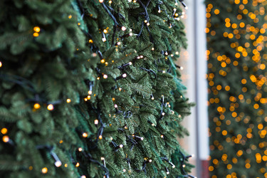 Similar image 22205702