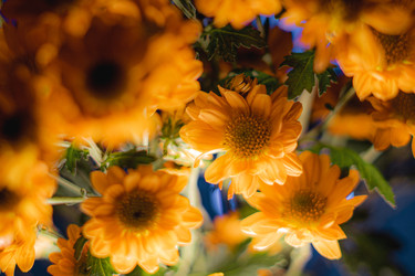 Similar image 22203910