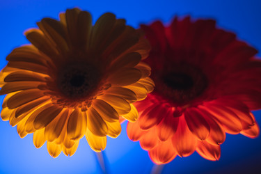 Similar image 22203928