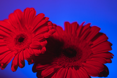 Similar image 22203929