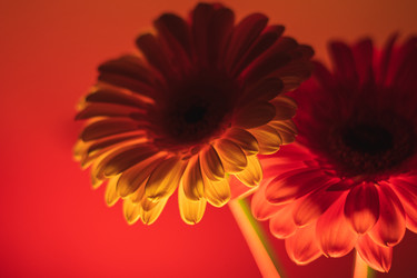 Similar image 22203930