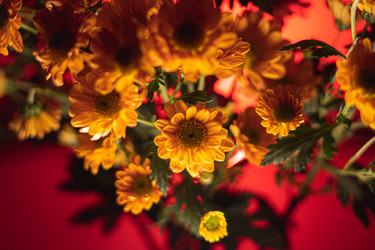 Similar image 22203933