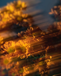 Similar image 22203934