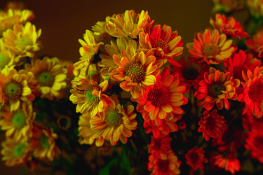 Similar image 22203935