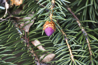 Similar image 22206315