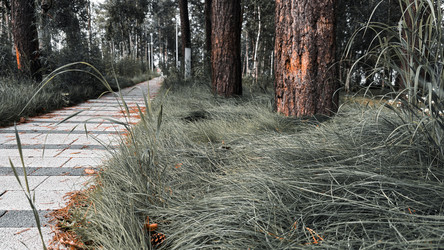 Similar image 22203201