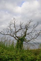 Similar image 22203329