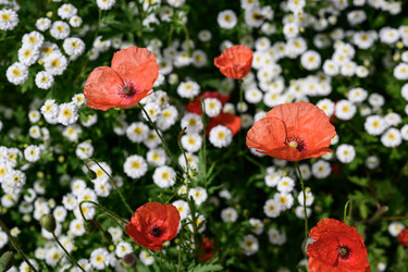 Similar image 22203331