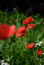 Similar image 22203332