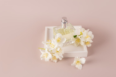 Similar image 22203537