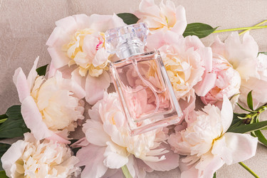 Similar image 22203551