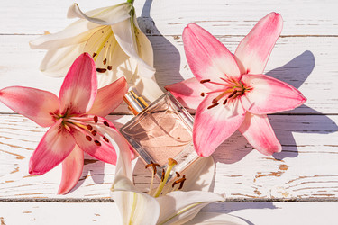 Similar image 22203570