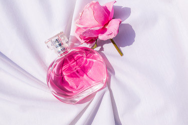 Similar image 22203571