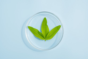 Similar image 22203358