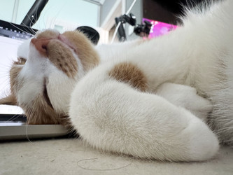 Similar image 22203854